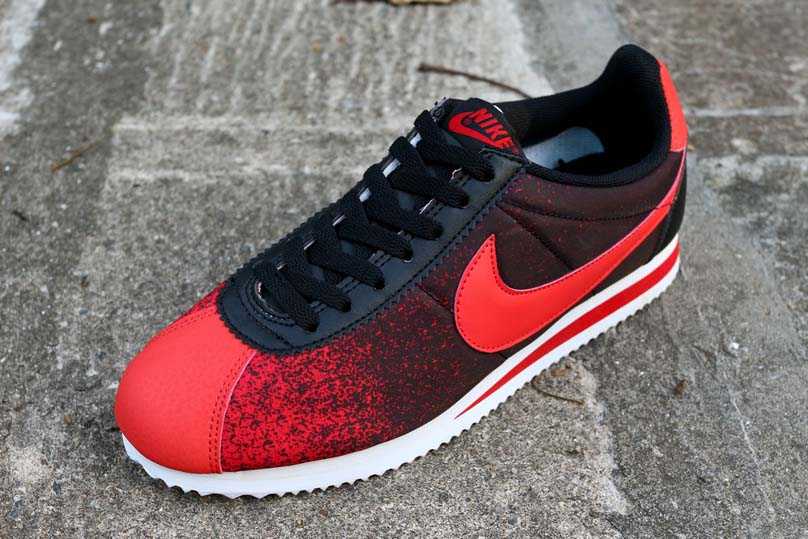 nouvelle cortez